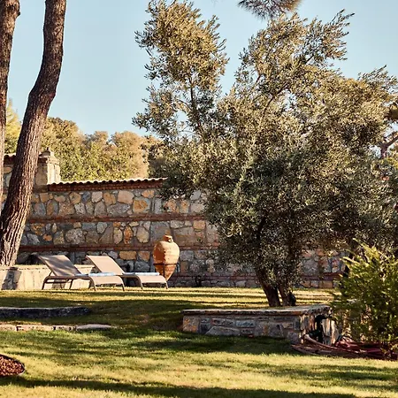 Jungle Eva Βίλα *