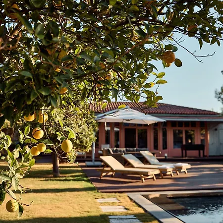 Βίλα Jungle Eva Αλικαρνασσός